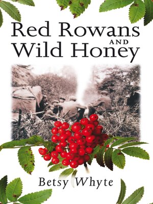 cover image of Red Rowans and Wild Honey
